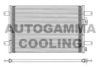 AUTOGAMMA 101691 Condenser, air conditioning